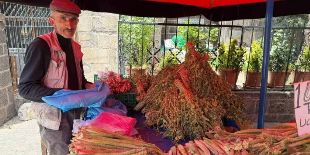 Şifası dilden dile dolanıyor, kendisi zor bulunuyor! Bu bitki tezgahta dakikalar içinde tükeniyor… 4